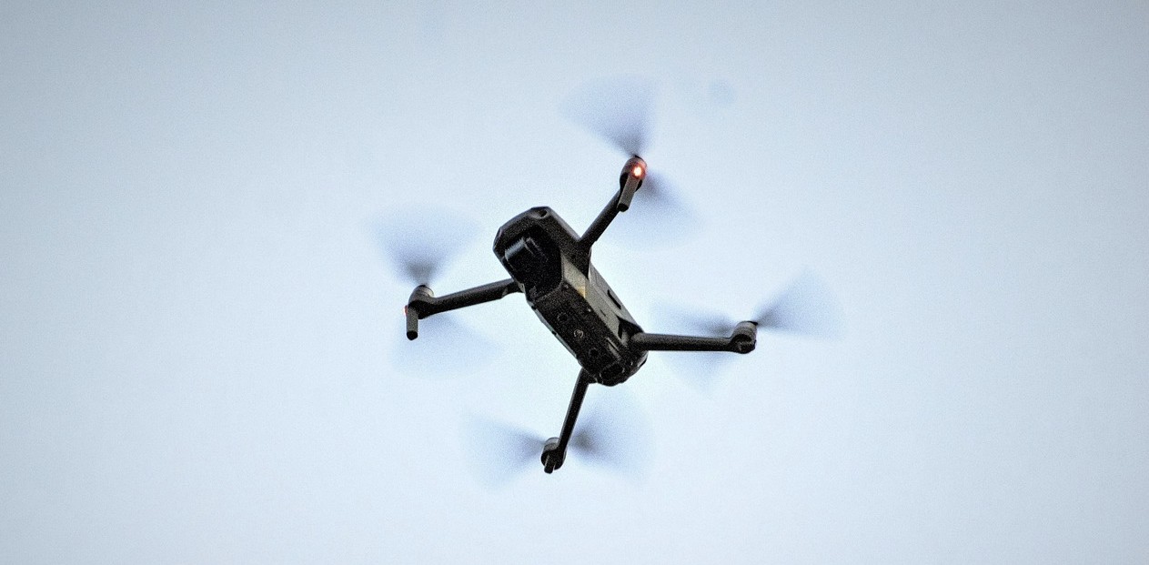 ASL Event Security Crowd Management